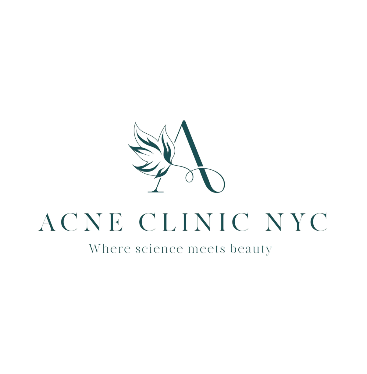 Virtual Acne Program Revision